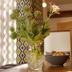 Gemütlicher Innenbereich mit Blumen im Anna Gästehaus. Ein freundlicher Innenbereich mit natürlichem Licht, Blumen und gemütlicher Atmosphäre im Anna Gästehaus.